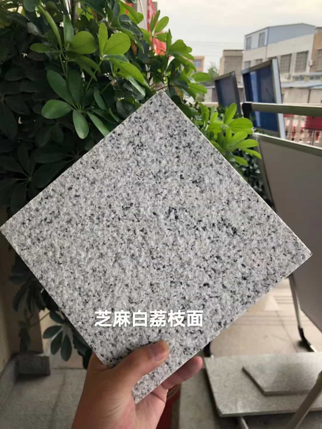 临汾 芝麻白荔枝面干挂