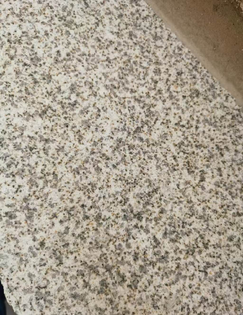 临汾 黄金麻中黄光面